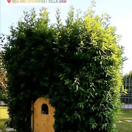 Villa Oasi San Giuliano Terme Εξωτερικό φωτογραφία