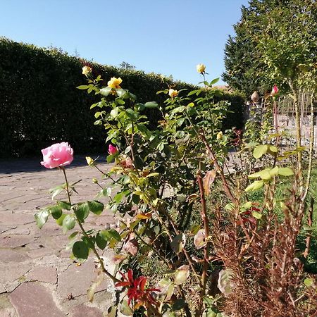 Villa Oasi San Giuliano Terme Εξωτερικό φωτογραφία
