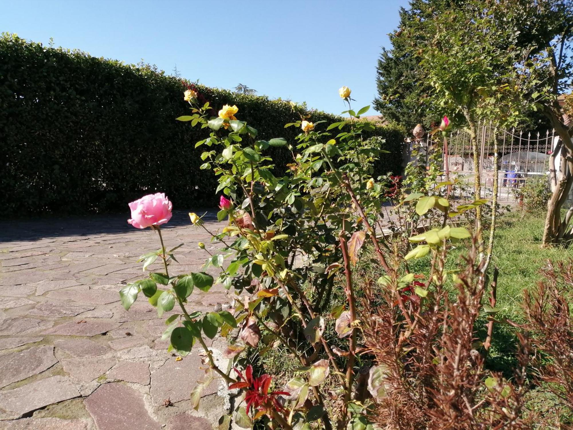 Villa Oasi San Giuliano Terme Εξωτερικό φωτογραφία